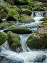 Creek with running water Royalty Free Stock Photo