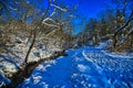 Stephens falls trail covered in snow on a cold Winter Day Royalty Free Stock Photo