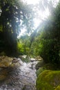 Creek in ruwenzori mountains Royalty Free Stock Photo