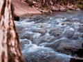 Creek flowing through a park framed by a tree Royalty Free Stock Photo