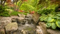 A creek with a small waterfall, greenery surrounds