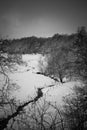 Creek in snow covered field near forest