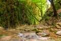 Creek in ravine Chudo-Krasotka, Sochi, Russia Royalty Free Stock Photo