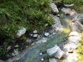 Creek or stream with water and stones and plants