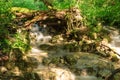 Creek in the summer sun