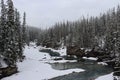 a creek surrounded by snow covered evergreen trees on a cloudy day Royalty Free Stock Photo