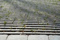 Creek in terrain notch overgrown with spring meadow lush green colors trees park pedal path of stone concrete block slab tread tra Royalty Free Stock Photo