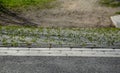 Creek in terrain notch overgrown with spring meadow lush green colors trees park pedal path of stone concrete block slab tread tra Royalty Free Stock Photo