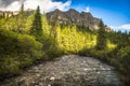 Creek and Trees under Mountains