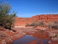 Creek in the Valley of the Gods, Arizona