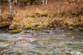 The creek, Water flows on stones. Bubbles and foam on the water. natural background in selective focus