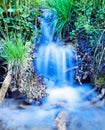 Creek waterfall rushing green meadow grass plants Royalty Free Stock Photo