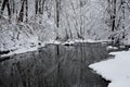 Creek In Winter Royalty Free Stock Photo