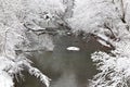Creek in Winter Snow Scene Royalty Free Stock Photo