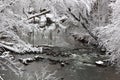 Creek in Winter Snow Scene Royalty Free Stock Photo