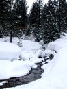 Creek in Wintry forest Royalty Free Stock Photo