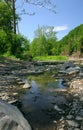 Creekbed Royalty Free Stock Photo