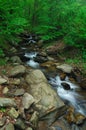 Creeks below Amicalola fall Royalty Free Stock Photo