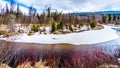 Creeks in winter time Wells Gray Provincial Park in British Columbia, Canada