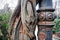 Creeper plant around rusty pole