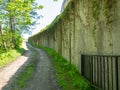 Creepers entangled in a cement wall. Vines on the wall. Nice quiet place. Background from the wall and plants