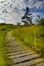 Creeping Juniper Nature Trail