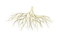 Creeping root of plant, underground stem. Botany or dendrology design element vector illustration