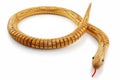 Creeping wooden snake Royalty Free Stock Photo
