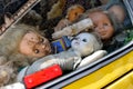 Creepy abandoned children`s dolls