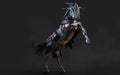 A creepy armored dark horse pose on black background Royalty Free Stock Photo