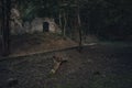 Creepy autumn forest castle ruins landmark European site October environment space and lonely trail without people in evening