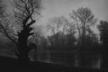 Creepy autumn landscape showing old tree on river shore at dawn