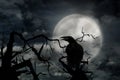 Creepy black crow croaking in misty forest on full moon night Royalty Free Stock Photo