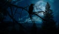 Creepy black crow croaking in scary dark forest on full moon night Royalty Free Stock Photo