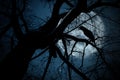 Creepy black crow croaking on tree branch under full moon at night Royalty Free Stock Photo