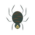 Creepy black spider cartoon flat icon style Royalty Free Stock Photo