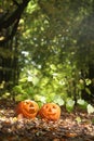 Creepy carved pumpkin face Royalty Free Stock Photo