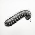 Dark And Gritty Caterpillar Illustration On White Sheet