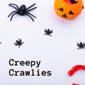 Creepy crawlies text on white with plastic spiders and jack o lantern pumpkin bucket Royalty Free Stock Photo