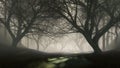 Creepy dead trees in dark misty forest at night