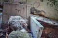 Creepy doll on a chair in an abandoned building in Pripyat, Ukraine, site of the 1986 Chernobyl nuclear desaster. Royalty Free Stock Photo