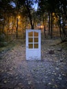 Glowing door in the middle of the forest Royalty Free Stock Photo