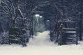 Creepy forest road with lighted lampposts on a dark and snowy winter night