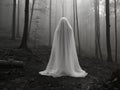 A creepy ghost covered in a ragged cloak