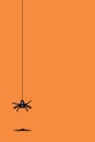 Creepy Halloween pattern orange background with black spider.