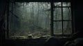 Creepy Haunted Room Window In Forest: Moody Still Life 8k Image