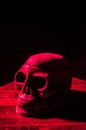 Creepy Horror Skull Head Cinematic