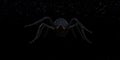Creepy illustration of a large black hairy spider in space against a dark starry background