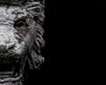 Creepy Lion Head Sculpture Over Black