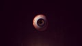 Creepy Looking Human Eyeball Pupil Anatomy Halloween Horror